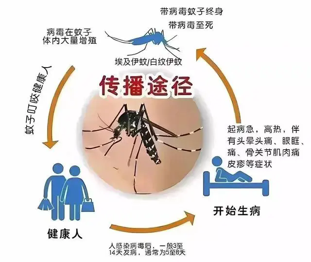 c8177f3e6709c93d040a5e0fff5d7dd2d0005438.webp.png