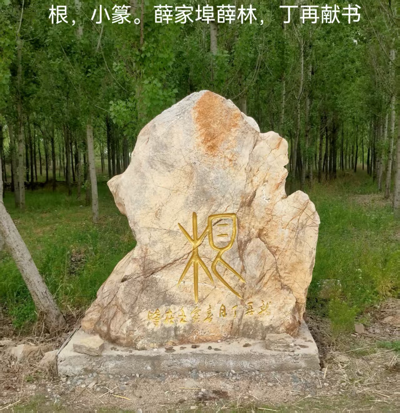 微信圖片_20250611081745.jpg