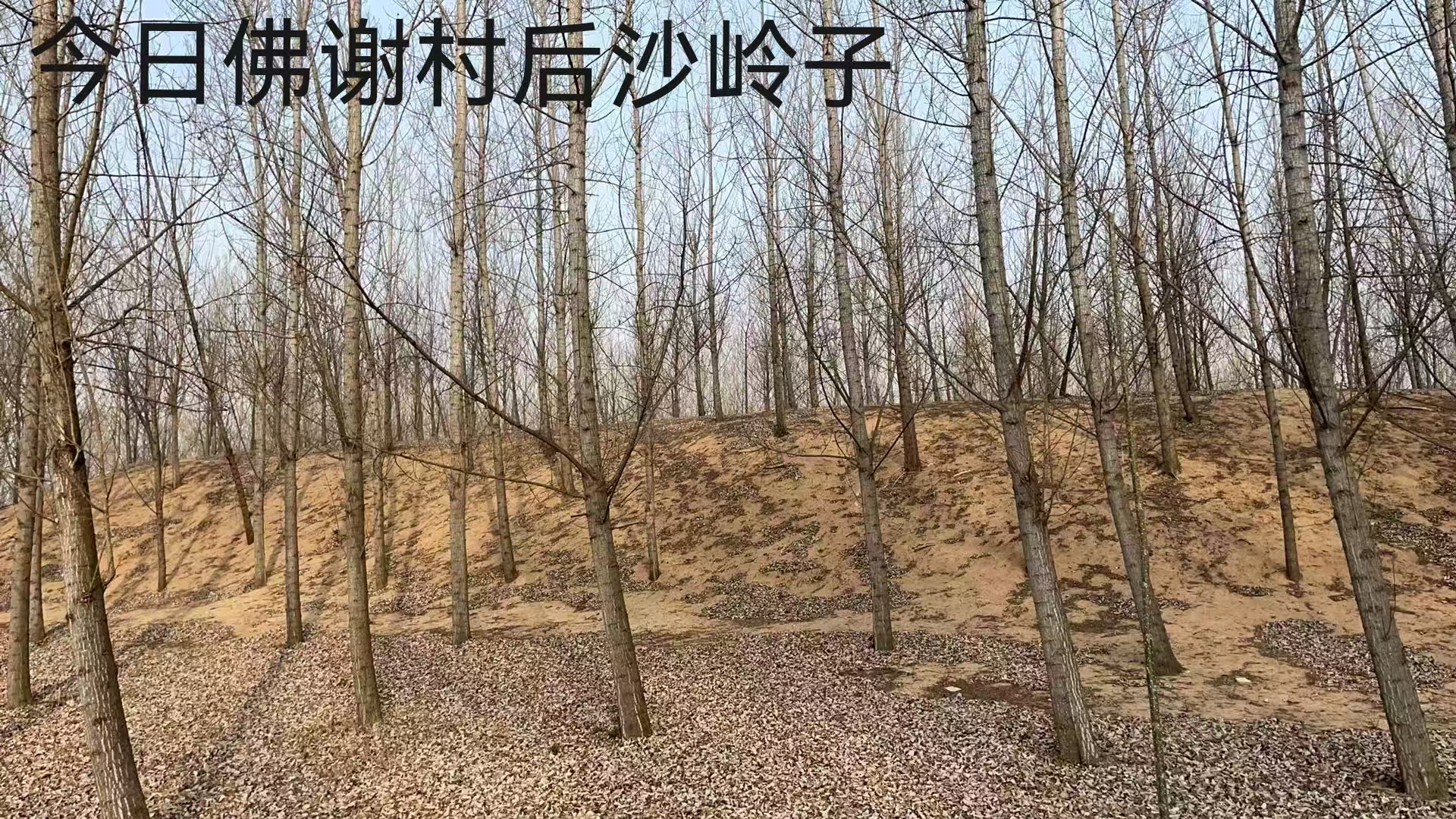 微信圖片_20250611081821.jpg